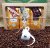 Harmony Sancherr - CR King Coffee - World Coffee Blend - sada 3 káv v Dárkové krabičce