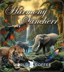Harmony Sancherr
