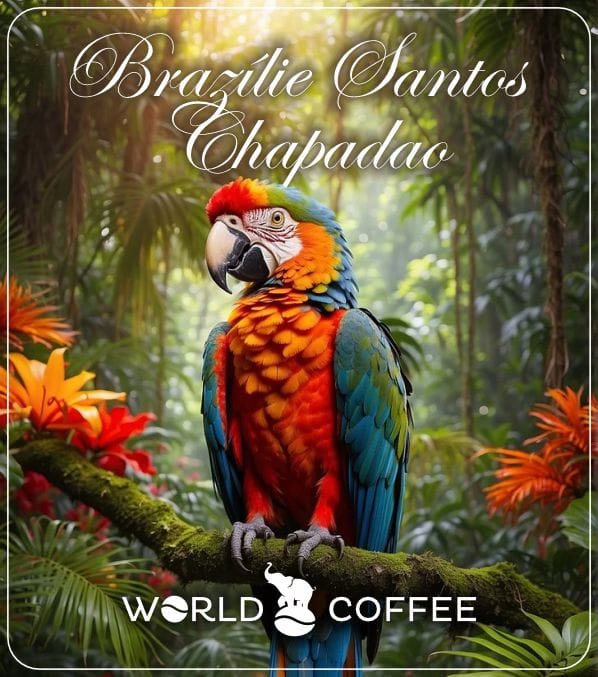 Brazílie Santos Chapadao - Hmotnost: 1000 g